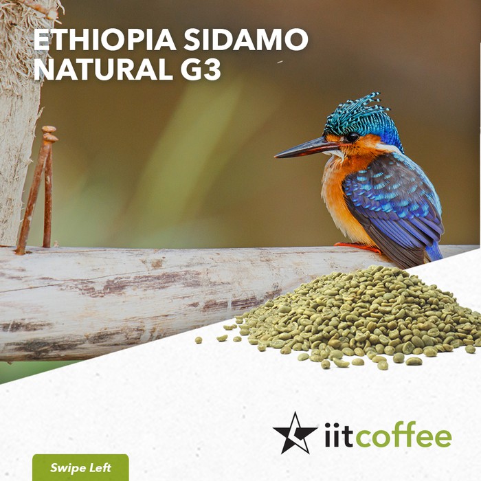 

Arabica Green Beans - Ethiopia Sidamo G3 Natural 1Kg