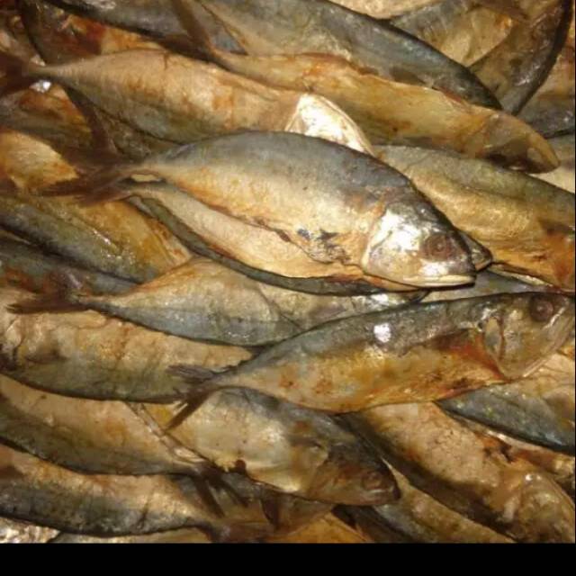 

Ikan peda