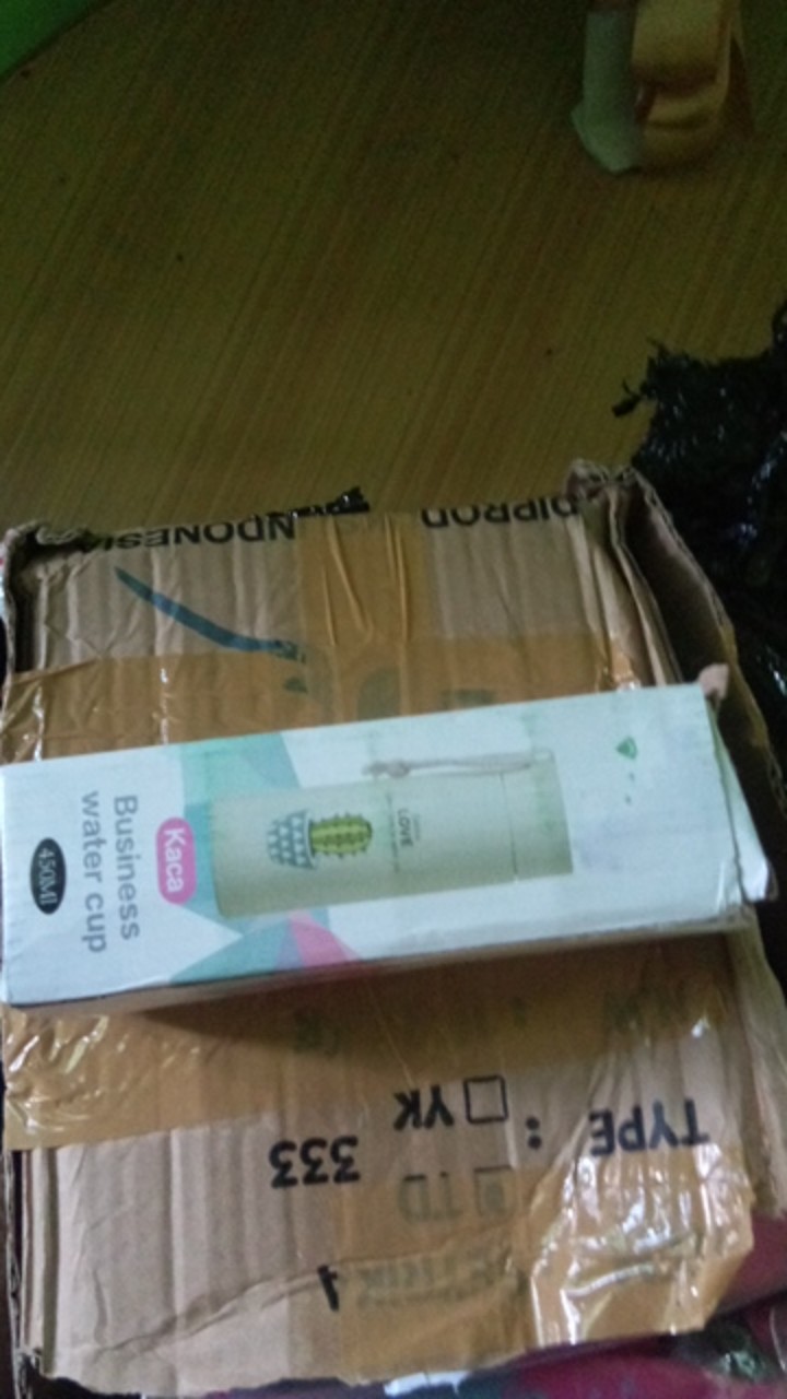 Botol Minum Kaktus Botol Minum Kaca