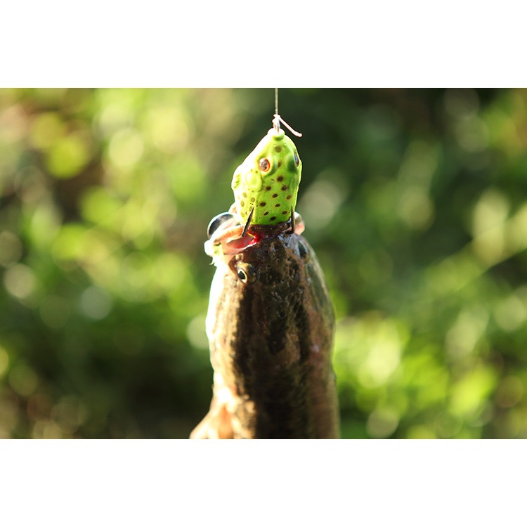 Umpan Pancing Softlure Bentuk Katak 5.5CM 12g Dengan Kail Ganda Untuk Memancing Ikan Bass / Trout