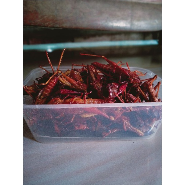 WALANG KAYU GORENG