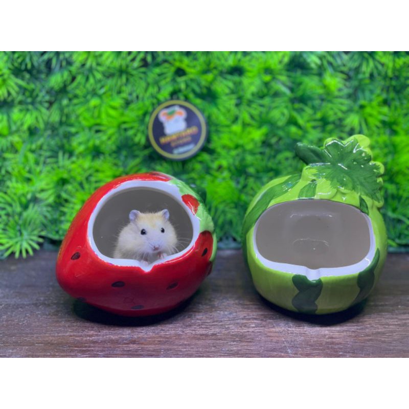 Rumah Hamster Keramik Model Buah Buahan Import