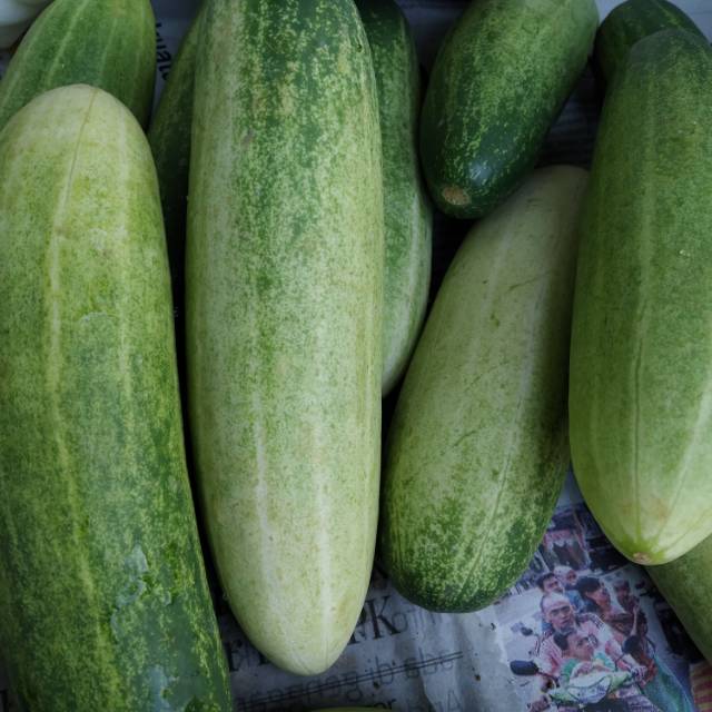 

Sayur timun/ sayuran murah bandung