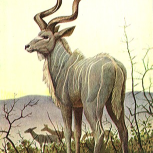 robbyalamsyahramadhan