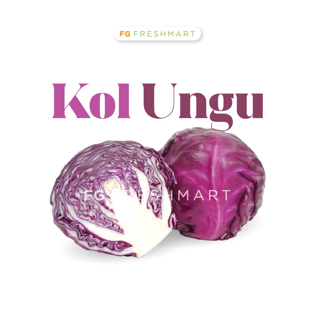 

Kol Ungu Import