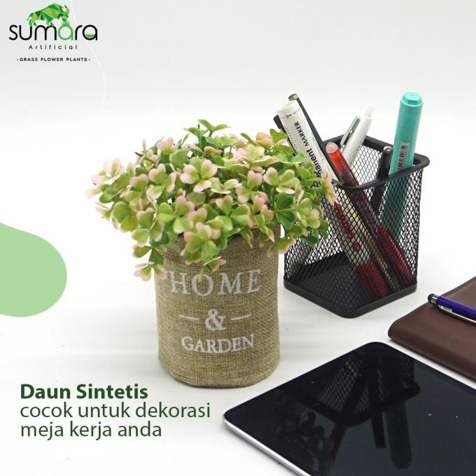 Daun Semanggi Merah Muda Pot Karung