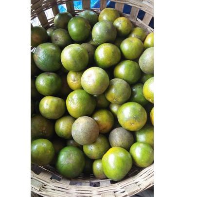 

Grosir/5.5 SALE/5.5 Product HOT/TERLARIS/「⭐Terbaru 3.3」 JERUK PERAS SEMBORO 1500gr ❤[PROMO ⚡ALE!!!]❤