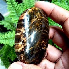 batu akik fosil kayu motif loreng harimau(0045)