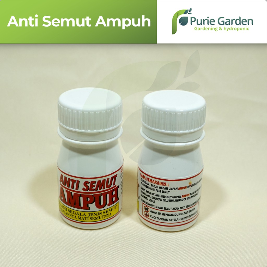 Racun/Obat Pembasmi Anti Semut Ampuh PG SBY