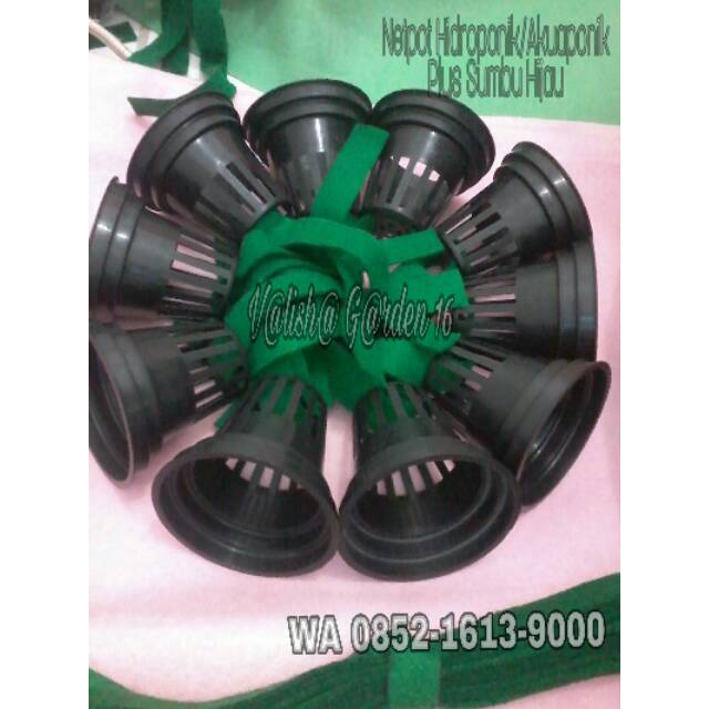 Netpot Hidroponik Akuaponik + Sumbu hijau muda 10 pcs