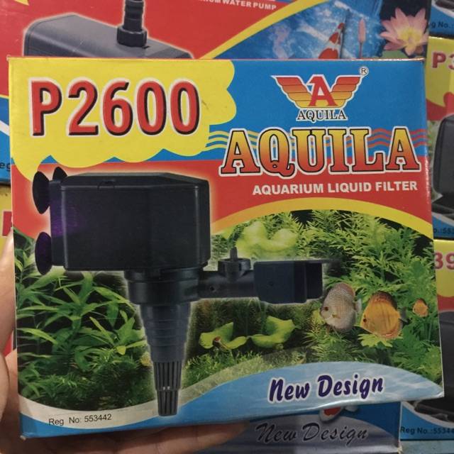 Aquila P-2600 pompa celum submarine