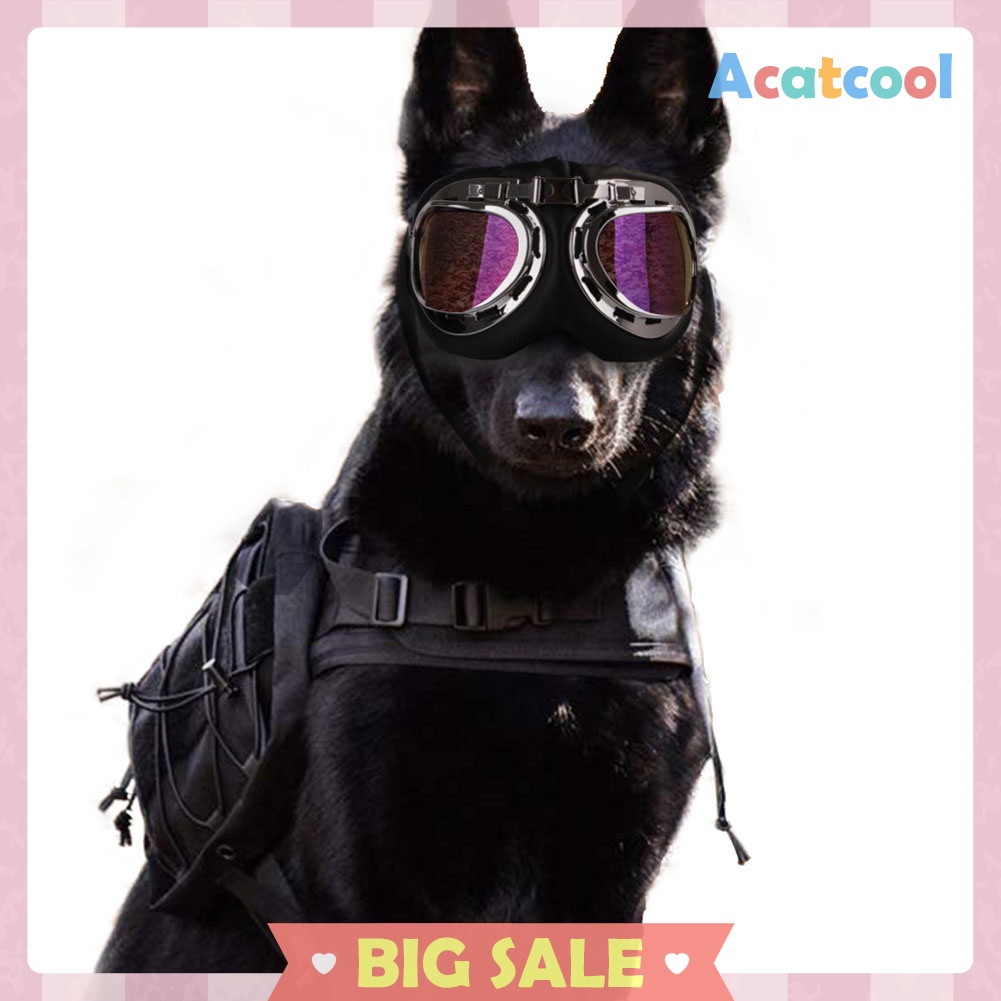 Foldable Dog Glasses Puppy UV Protection Goggles Eye Wearing Sunglasses