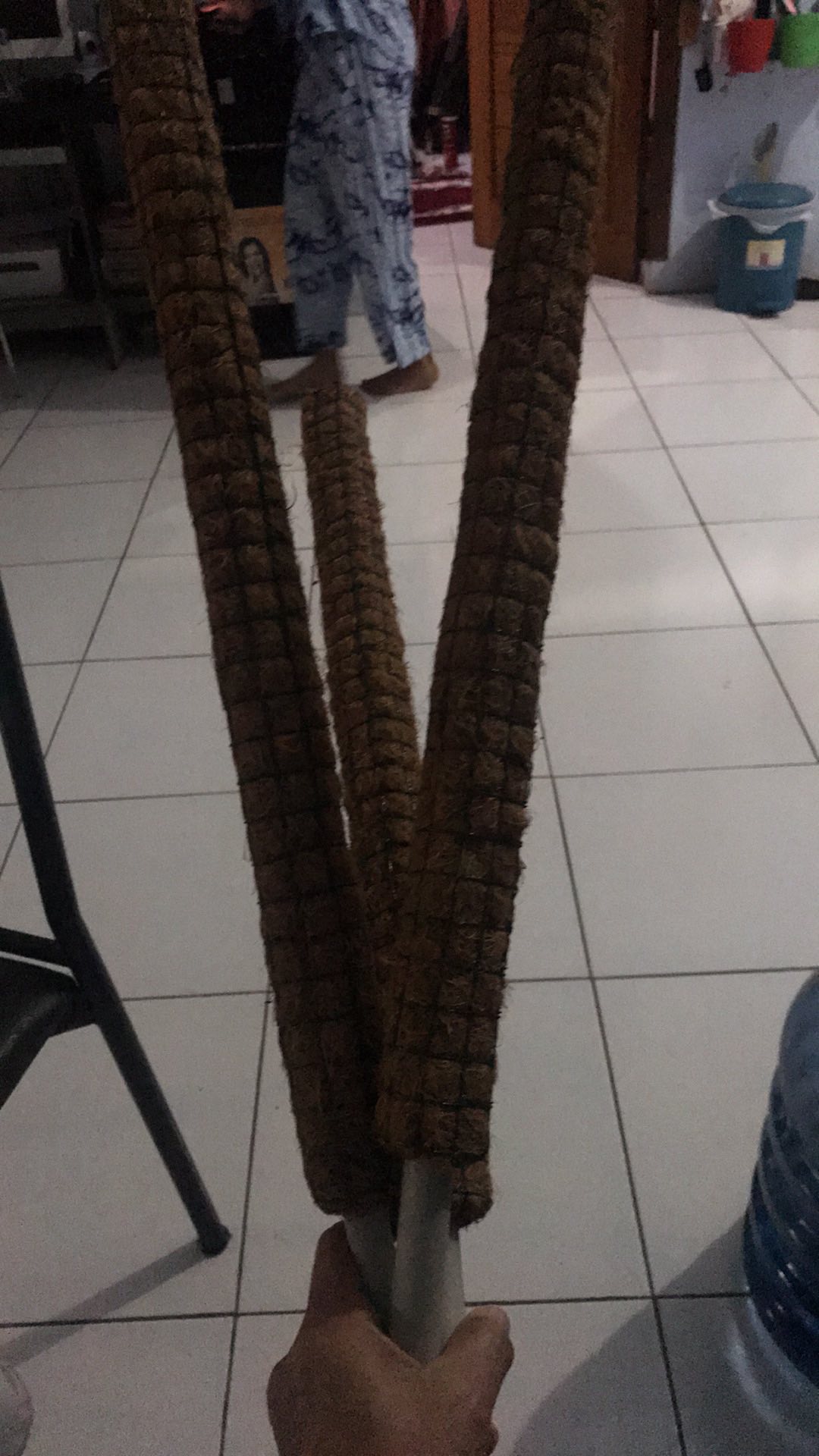 Turus Tiang Penyangga Tanaman 50 Cm