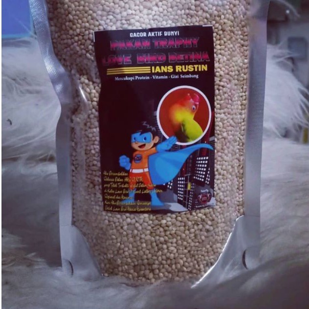 PAKAN TRAPHY LOVEBIRD BETINA DEWASA MACET IANS RUSTIN