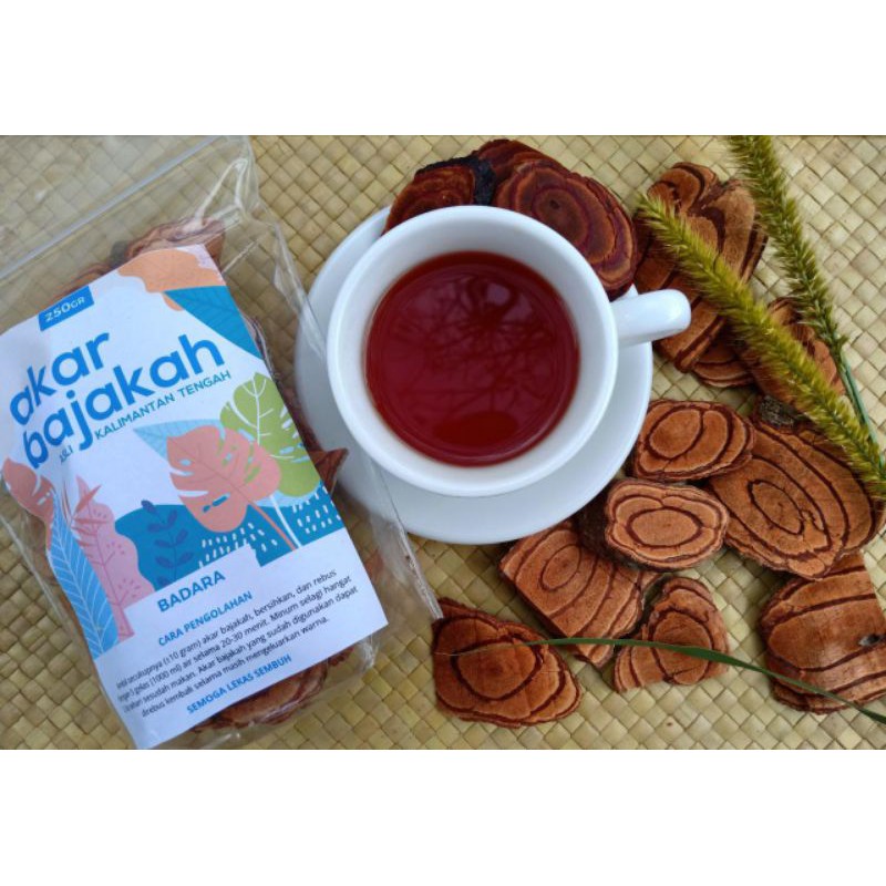

akar bajakah kalimantan tengah herbal