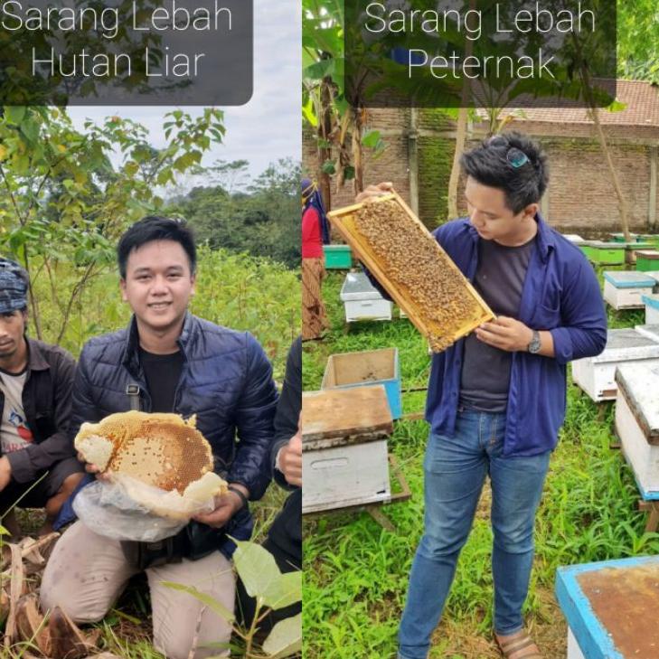 

[KODE PRODUK L7E8896] Supplier Madu Sumbawa Asli Ukuran 500 Gram - Madu Odeng- Madu Sialang Riau - Agen dan Reseller Masuk