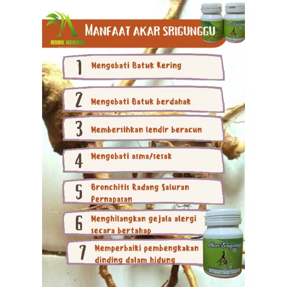 Akar srigunggu - Herbal Gurah Pernapasan 50kapsul