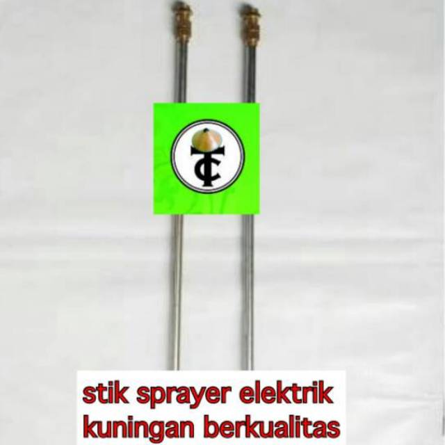 Stik elektrik lurus