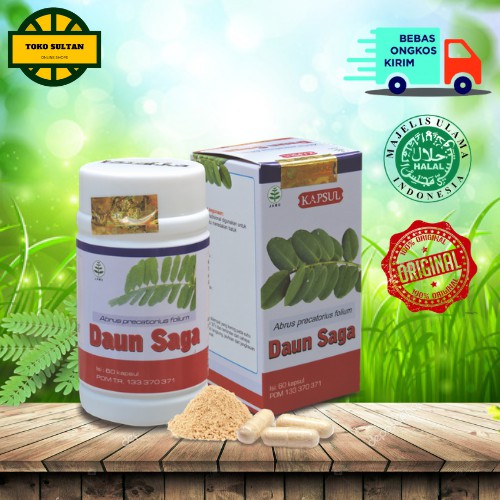 Jual Obat Batuk Sariawan Dan Radang Tenggorokan Herbal Kapsul Daun