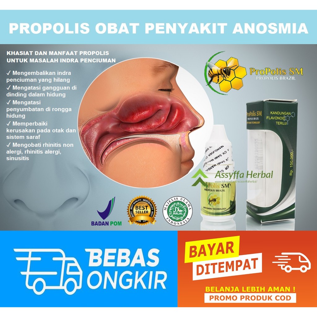Obat Anosmia Herbal Propolis SM Brazil 100% Original