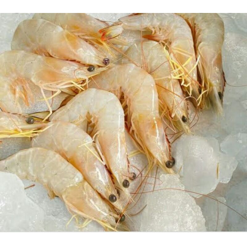 

Udang Banana