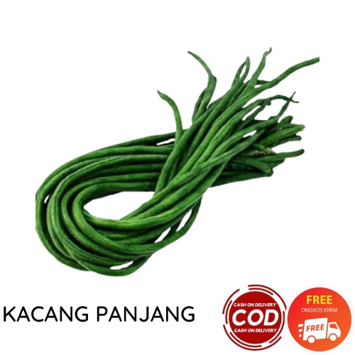 KACANG PANJANG