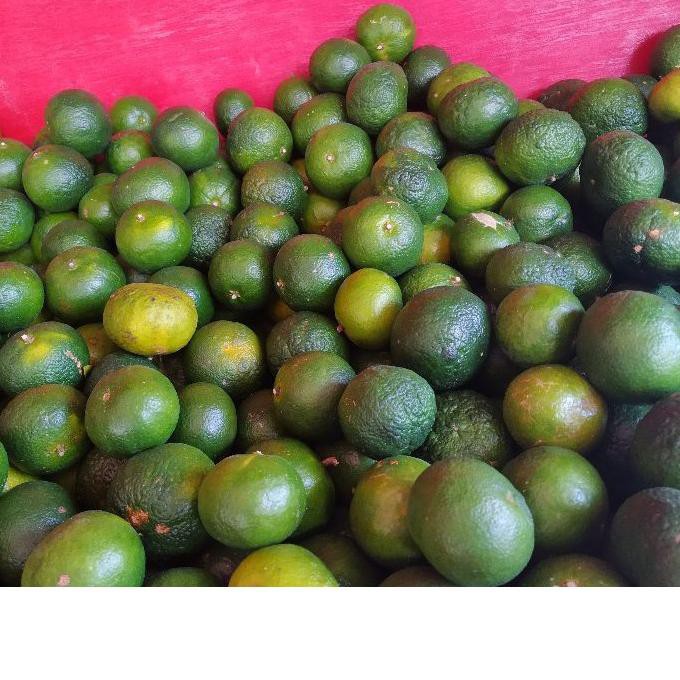 

PROMO BULAN INI jeruk santang hijau madu [8C4]