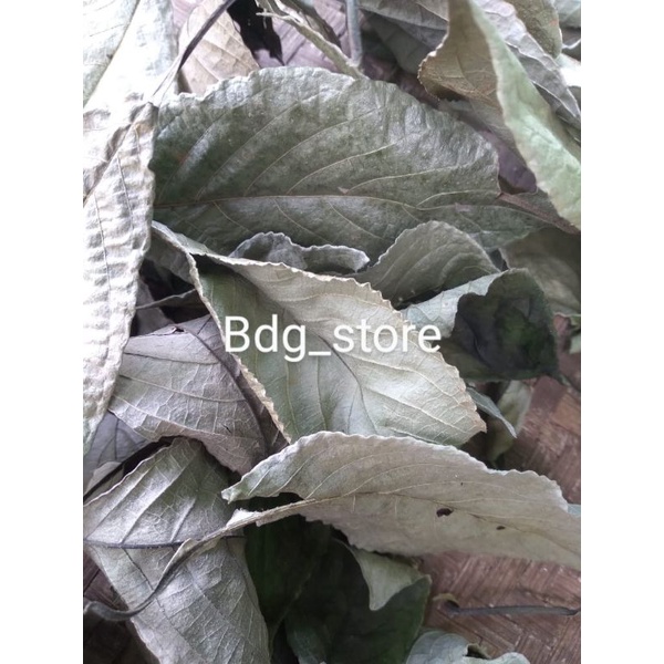 

daun keji beling asli kering 250 gram