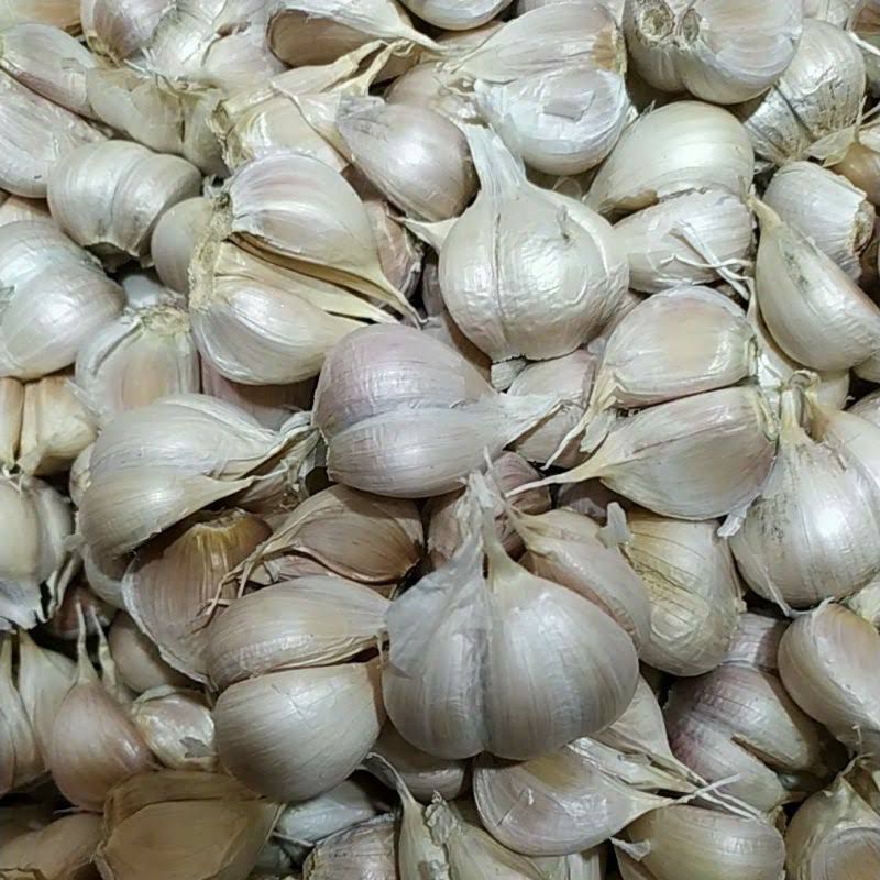 

[1 KG] Termurah Bawang Putih Kating / Bawang Putih Kating Bersih / Kating Murah