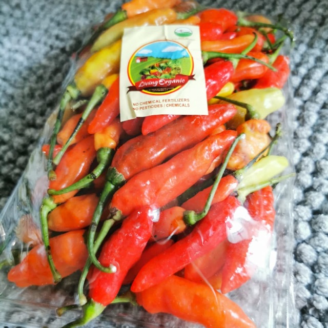 

Cabai Rawit Merah Sayuran Organik 200 Gr