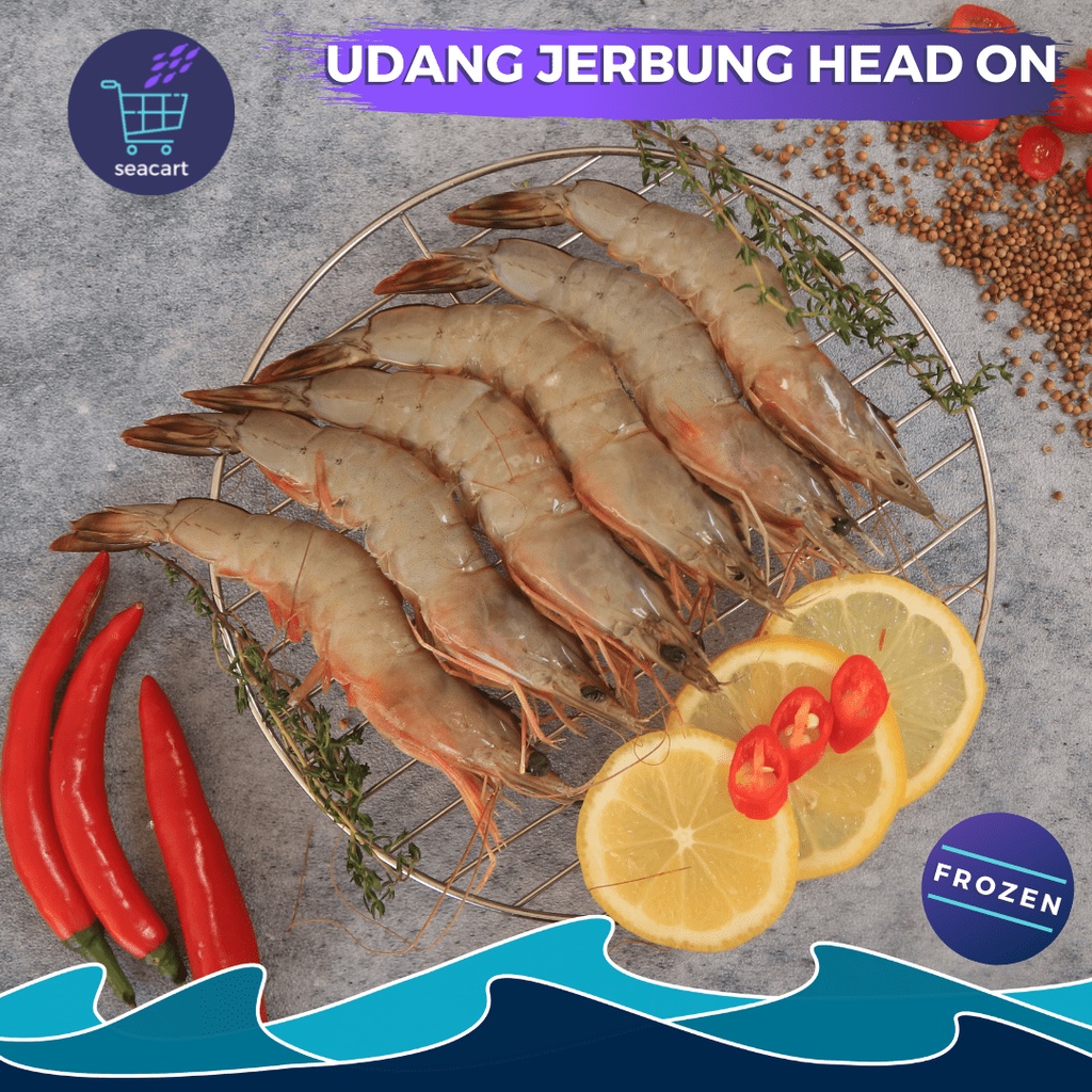 

Udang Jerbung Head On 1 kg