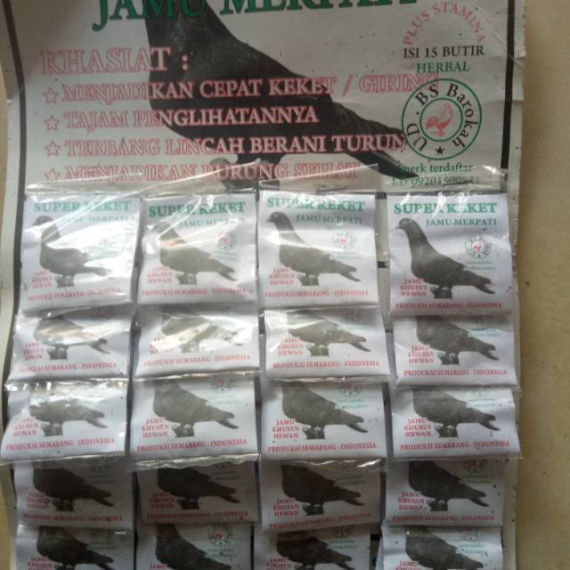 

Super keket jamu merpati