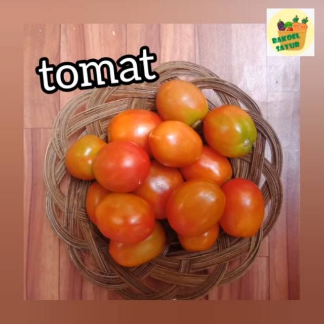 

Tomat merah, segar, bersih, murah