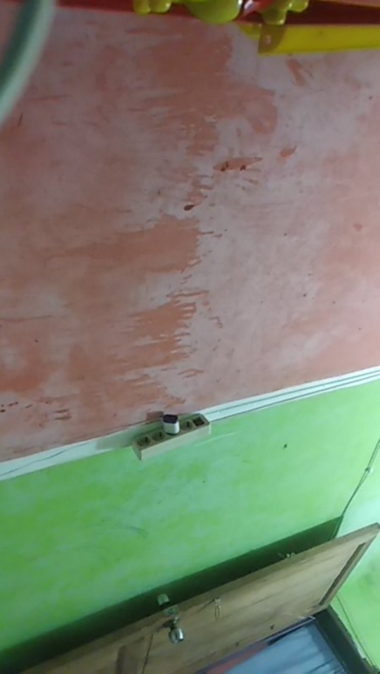 Cetakan Kue Kering Cookie Cutter / Kue Salju / Kue Keju / Kue Kacang / Kue Coklat / Dan Lain-lain