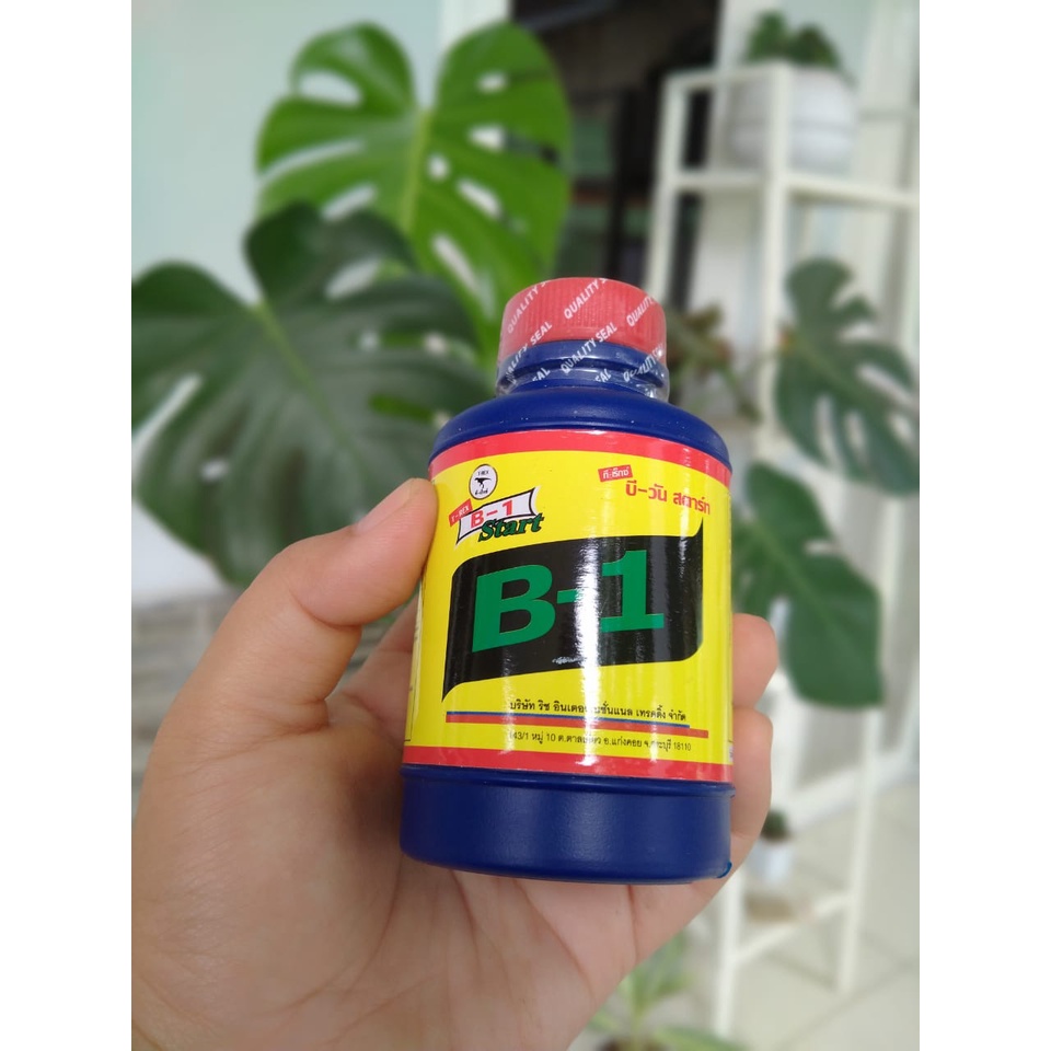 Vitamin Tanaman B1 Thailand Botol Biru