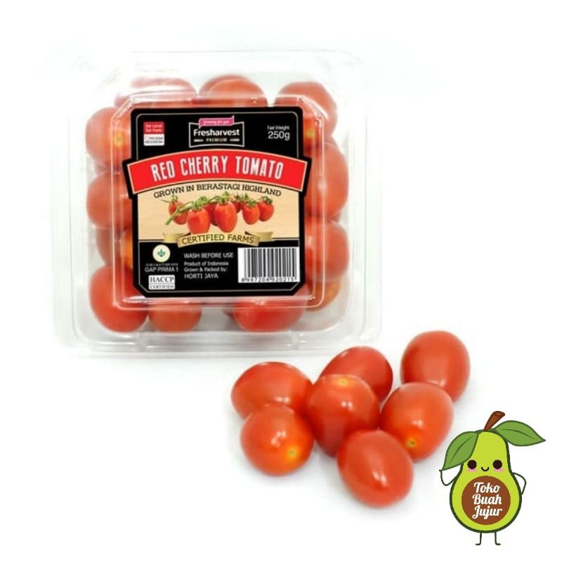 

TOMAT CHERRY BERASTAGI TOMAT CERI