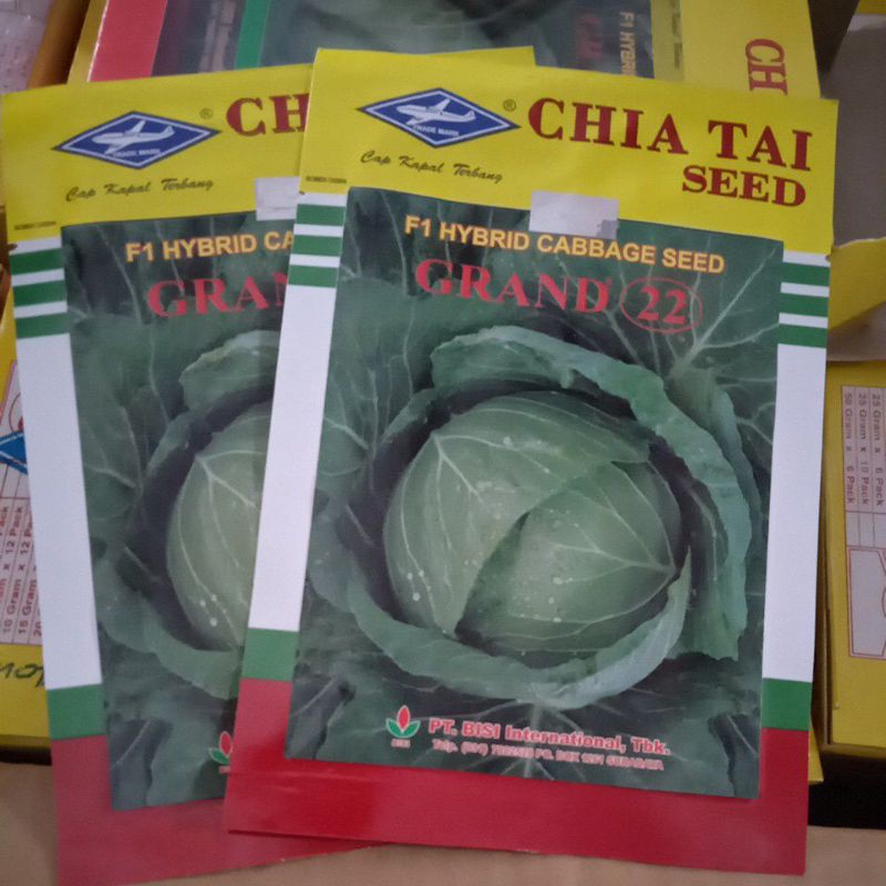 Kubis Hibrida Grand 22 (15gram)