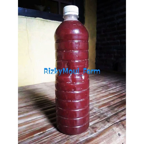 PSB ( PHOTOSYNTHETIC BACTERIA )