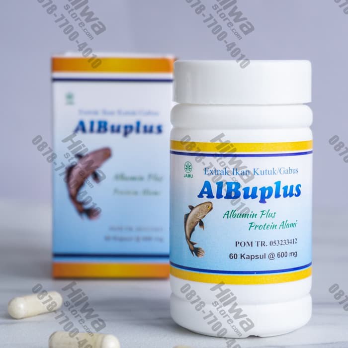 KAPSUL EKSTRAK IKAN GABUS KUTUK SUPLEMEN ALBUMIN ALBUPLUS OBAT KANKER