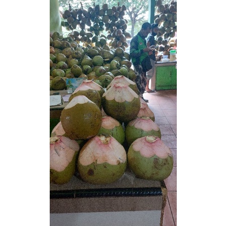 

KELAPA IJO UKURAN KECIL Bang Pudin PIK