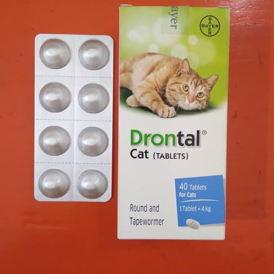 Obat Cacing Untuk Kucing DRONTAL 250 MG (1 Tablet)