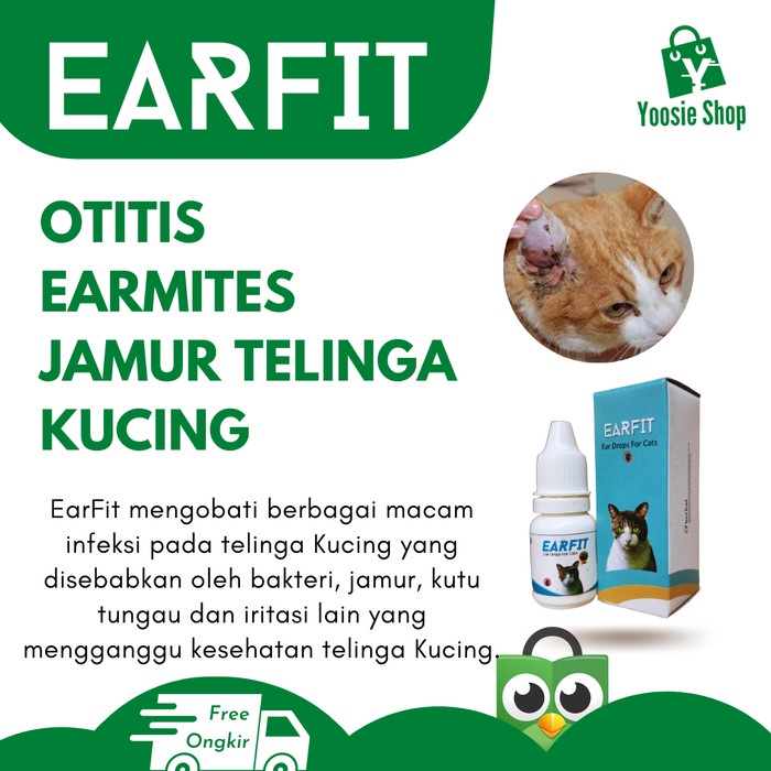 MUST HAVE!! OBAT TETES TELINGA OBAT TETES TELINGA KUCING EARFIT 