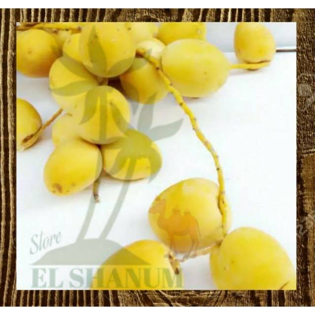 KURMA MUDA KUNING 1KG  / Kurma Promil BUKAN FROZEN / Program Kehamilan / Kurma Muda segar