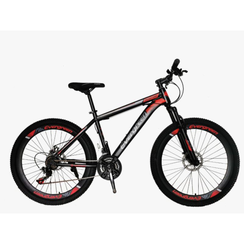 Sepeda MTB EVERGREEN 26" Ranger 580