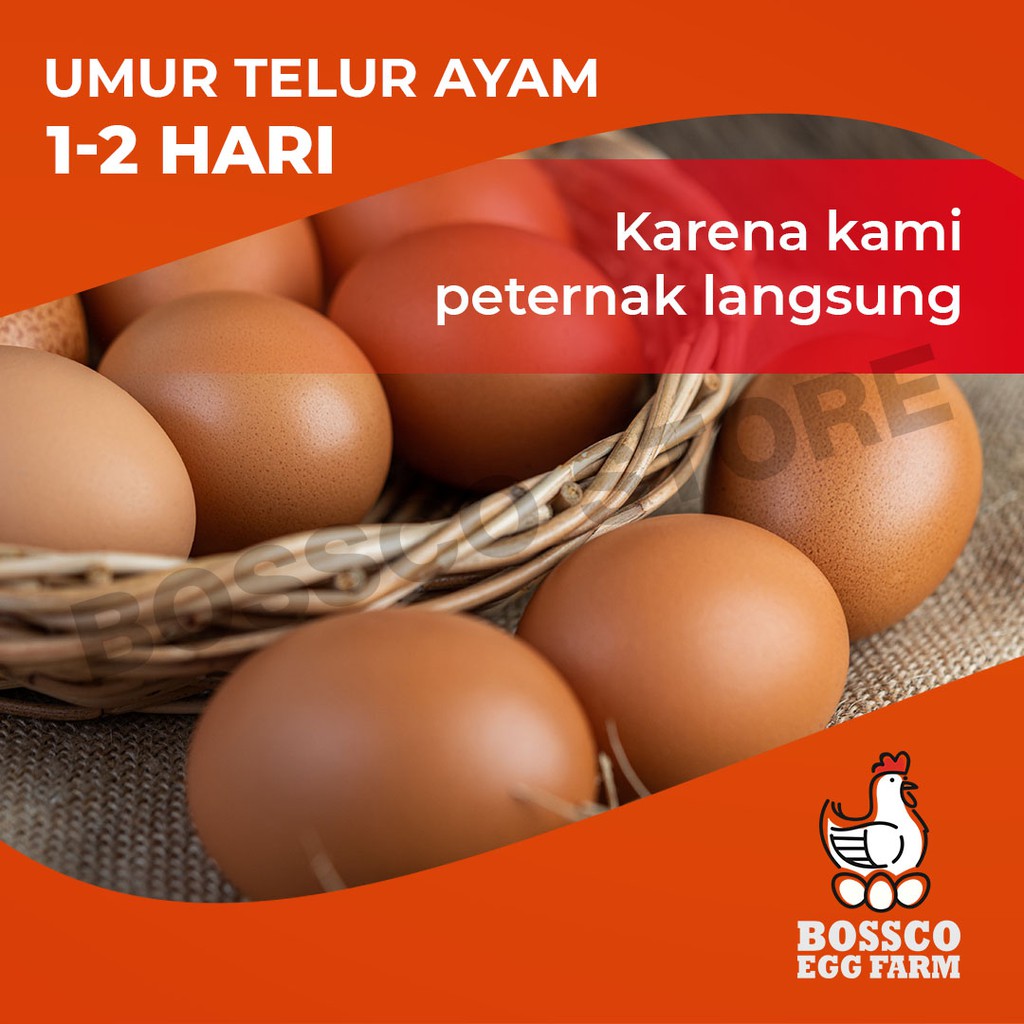 Telur Ayam Negeri Grade A ( Premium ) Segar / Fresh 1KG  / telor ayam negeri chicken egg telur ayam premium telur ayam langsung dari ternak telur segar telur fresh telur ayam segar telur ayam berkualitas telur ayam bebas bakteri telor ayam segar fresh