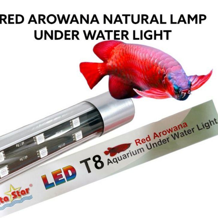 Big Sale - NIKITA STAR T8 800 LAMPU CELUP LED TANNING RED AROWANA LOUHAN ARWANA T8 80 CM NIKITA STAR