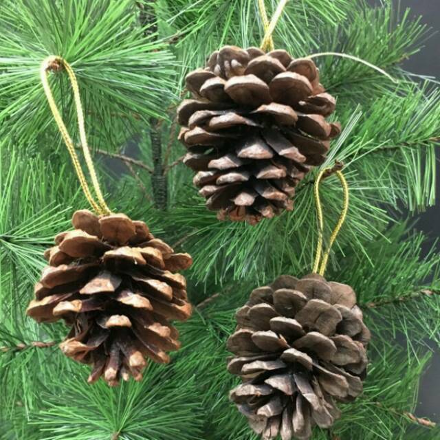  Pinus  hiasan  pohon natal  isi 6 pcs Shopee Indonesia