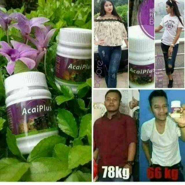 Acai plus/pelangsing herbal/ori acai nasa