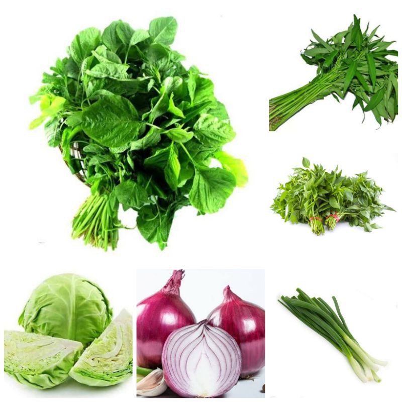 paket benih bibit tanaman sayuran