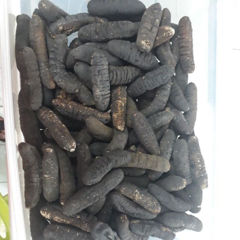 

Haisom gosok 30 (100 Gram)